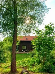 Namelis Gluosnė - Šyša