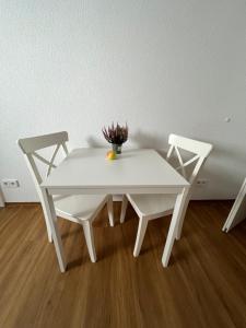 Moderne Einliegerwohnung am Park