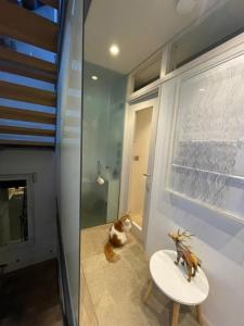 Modern self-contained Ground and Basement studios