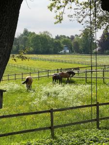 Herrenhaus - Starnberger See - Ammerland