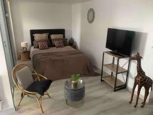 Ravissant studio en bord de mer - Плерен