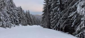 Heimatglück