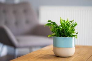 Royd Cottage at Lower Aylescott