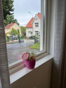 Lugnt och centralt läge