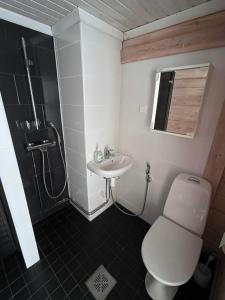 Kenttäniemi Cottages