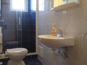 Banić Apartments with pool