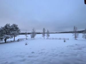 Kenttäniemi Cottages