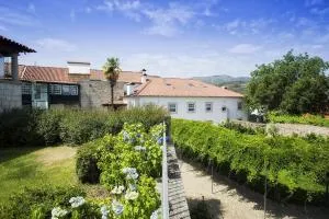 Casa do Cimo da Vila - Tarouca