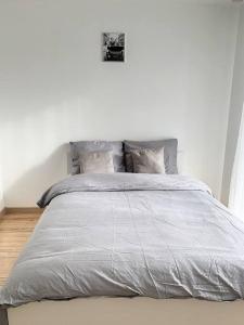 Villas L-Ulmeusienne contemporaine : photos des chambres