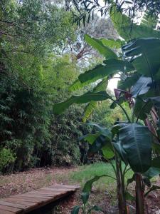 Cañas y Mar - A 70m del mar