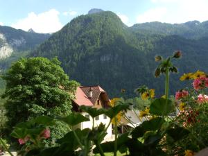 Haus Alpenrose Obertraun