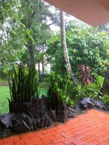 Eden Garden Farm Stay