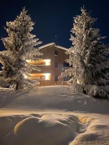 NORDIC Apartamente Păltiniș