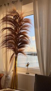 Villas Villa Sainte-Anne - Ploemeur : photos des chambres