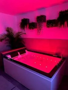 Love Room Cocooning & Spa - 埃皮纳勒