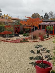 Appartements une pause quelque part au jardin des erables et des niwakis : photos des chambres