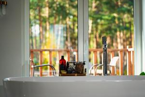 Заміський будинок з каміном та ванною з панорамним видом в ліс