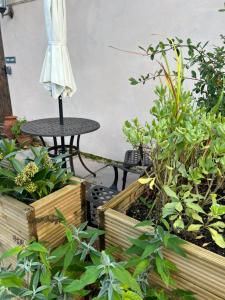 The Loft, Steep, Petersfield in Collyers Estate part of The South Downs National Park.