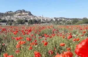 L'AMANDERAIE PISCINE PRIVEE à côté de LOURMARIN LUBERON - Villelaure
