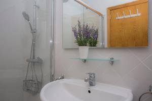 SingularStays Veronica II