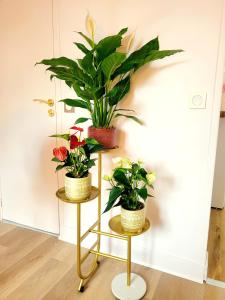 Appartements Golden Art Studio : photos des chambres