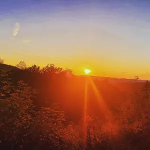 Chalupa Pod borovicí - 拉兹波德马伊托