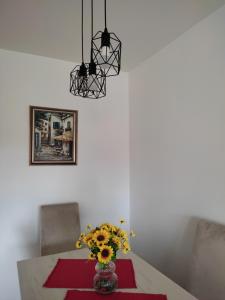 Apartman Petra