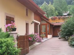 Gîte au calme avec 2 chambres, terrasse, jardin, BBQ et parking inclus à Breitenbach-Haut-Rhin - FR-1-744-42 - Markstein 