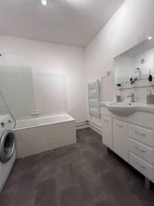 Appartements Charmant T1, parking prive, proche gare : photos des chambres