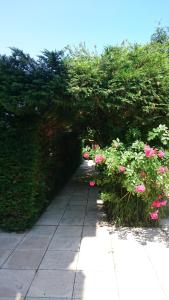 B&B / Chambres d'hotes Domaine de Paguy : photos des chambres