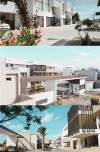 Puna Cuyana - Palmira