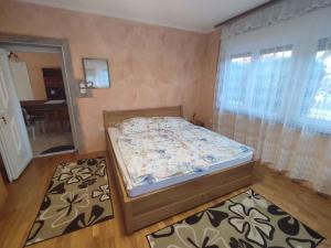 Holiday home in Balatonszarszo 45813