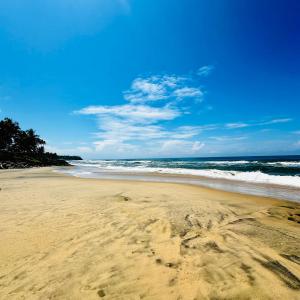 Maadathil Beach Resort