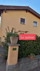 Le palme - Monte Ceneri