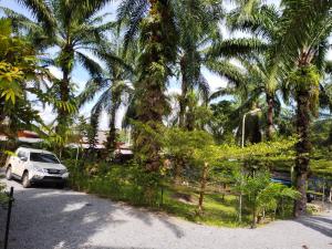 Palm Tian Homes A16