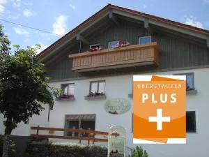 Weixler Schindelberg - Schlucht