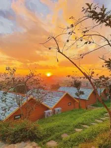 Avatar Homestay & Coffee - Mộc Châu - Kem Phieng