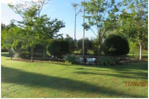 Blue Mountain View Cottages