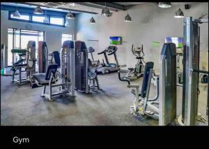 Lustrous Loft Living in Penthouse