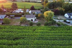 Maisons de vacances jolie maison de campagne a 100 m de l-etang : photos des chambres