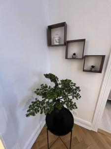 Esprit Vosges - 3 chambres de charme