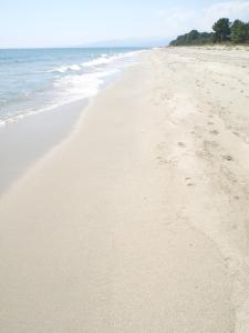 Two-room apartment 150 meters from the beach - 4 people - Ghisonaccia