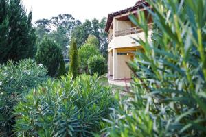 Appartements Two-room apartment 150 meters from the beach - 4 people - Ghisonaccia : photos des chambres