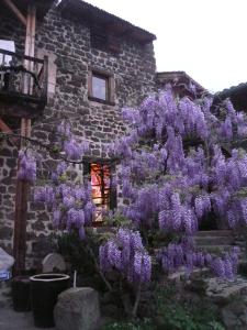 Maisons d'hotes Chambre d'Hotes et gites du Tapissier : photos des chambres