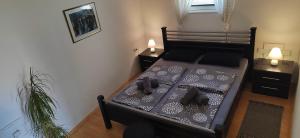 Paris Night Private Parking