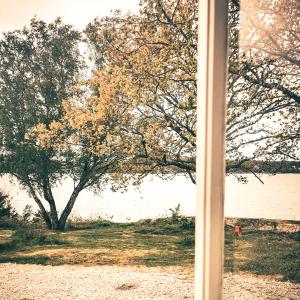 Surfviken Glamping and B&B