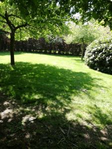 Nuvola ULTIMO Resort