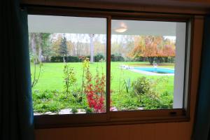 Appartements Appartement familial au bord de la Marne, jardin tropical , piscine, tennis, terrasse, parking gratuit proche Disneyland : photos des chambres