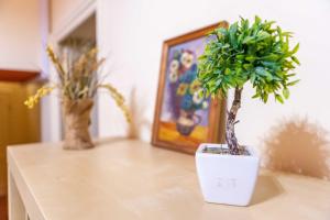 Corte Passi Florence