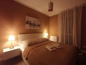 Apartamenty Tychy Kopernika - تيخي